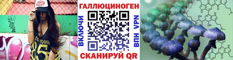 Псилоцибиновые грибы MAGIC MUSHROOMS  закладки  KRAKEN зеркало  Усть-Джегута 